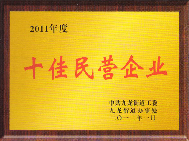2011年十佳民营企业