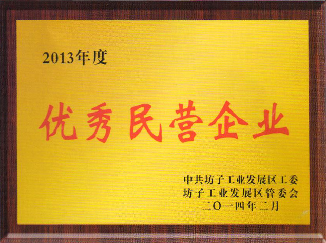 2013年优秀民营企业