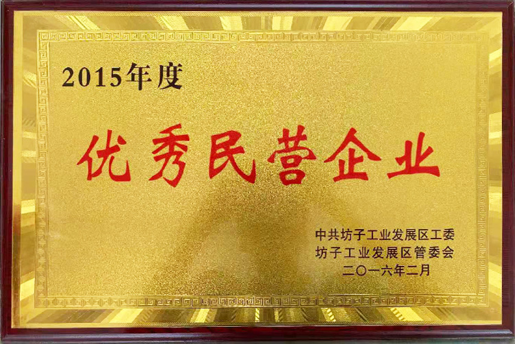 2015年优秀民营企业